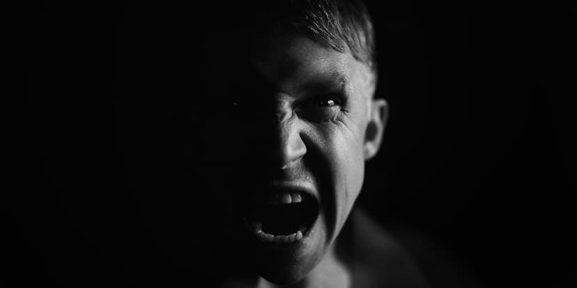 Forme ale violenței - Violența reactivă